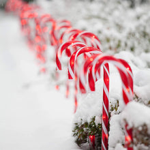 Load image into Gallery viewer, Solar Candy Cane Christmas Decorations