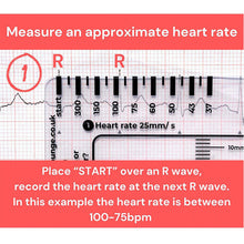 Load image into Gallery viewer, ECG 7 Step Ruler