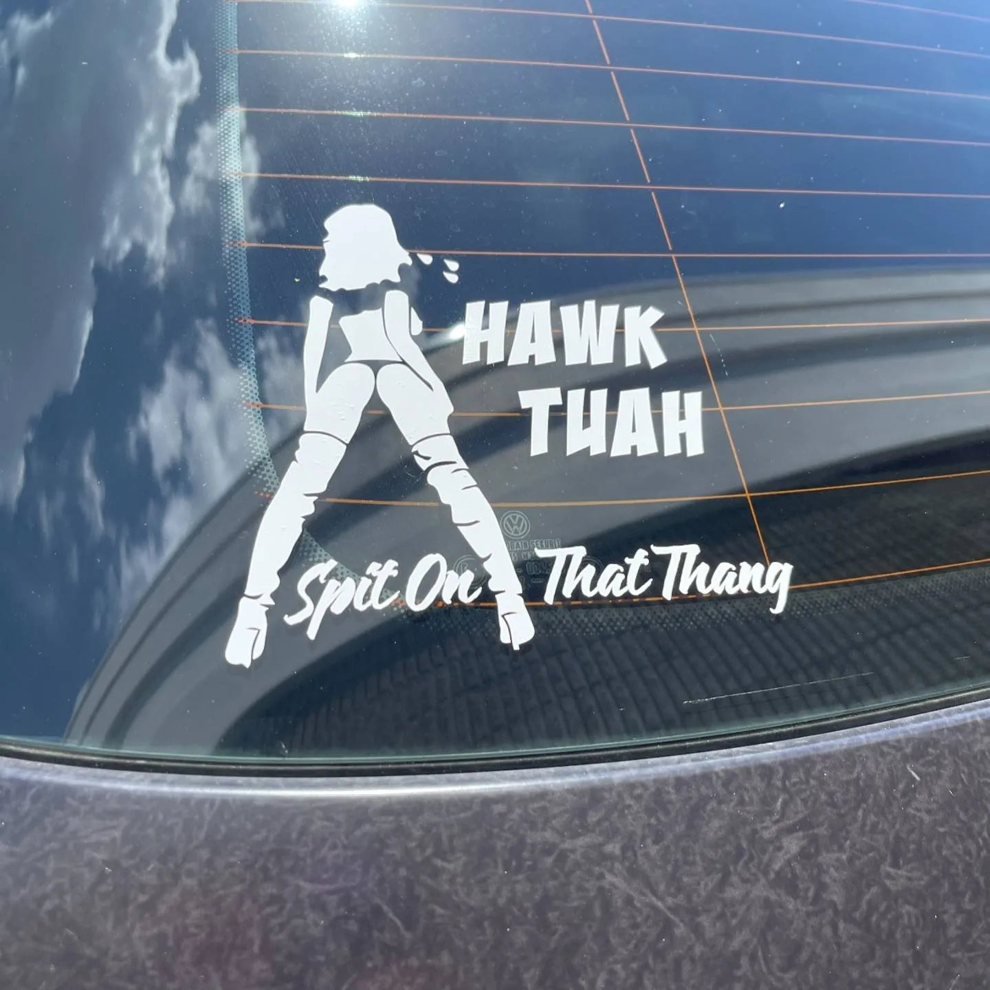 🤣Hawk Tuah Sticker | Spit on That Thang Car