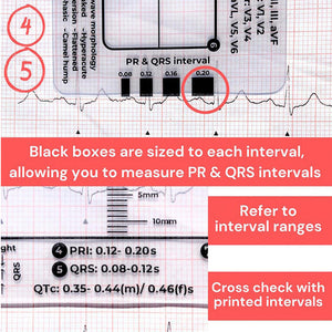 ECG 7 Step Ruler