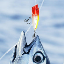 Load image into Gallery viewer, 24 Days Christmas Countdown Fish Tackle Set