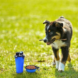 2-in-1 Pet Travel Water & Food Bottle with Foldable Bowl