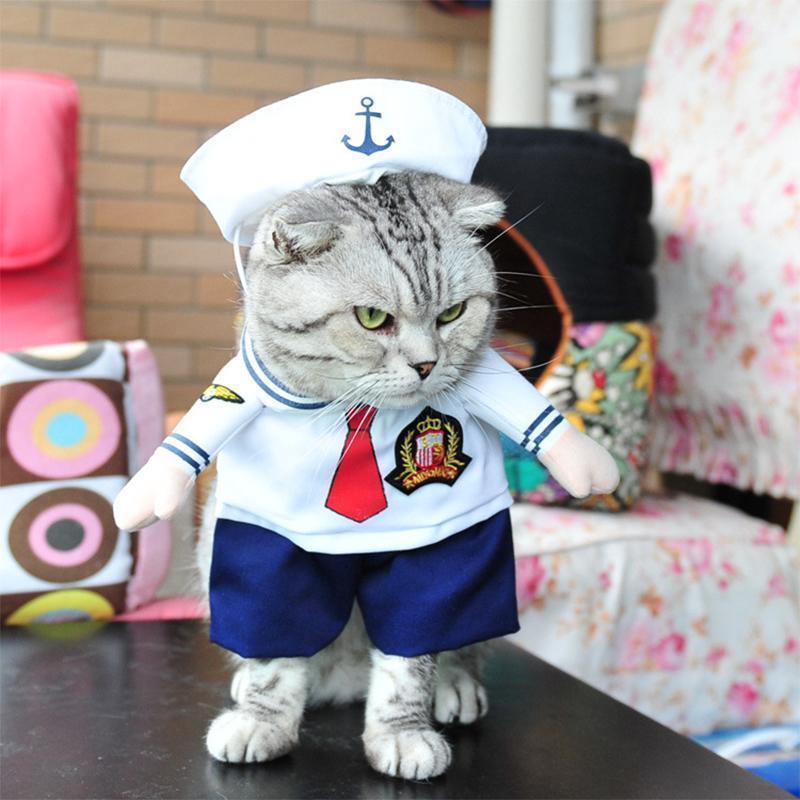 Funny Pet Costumes