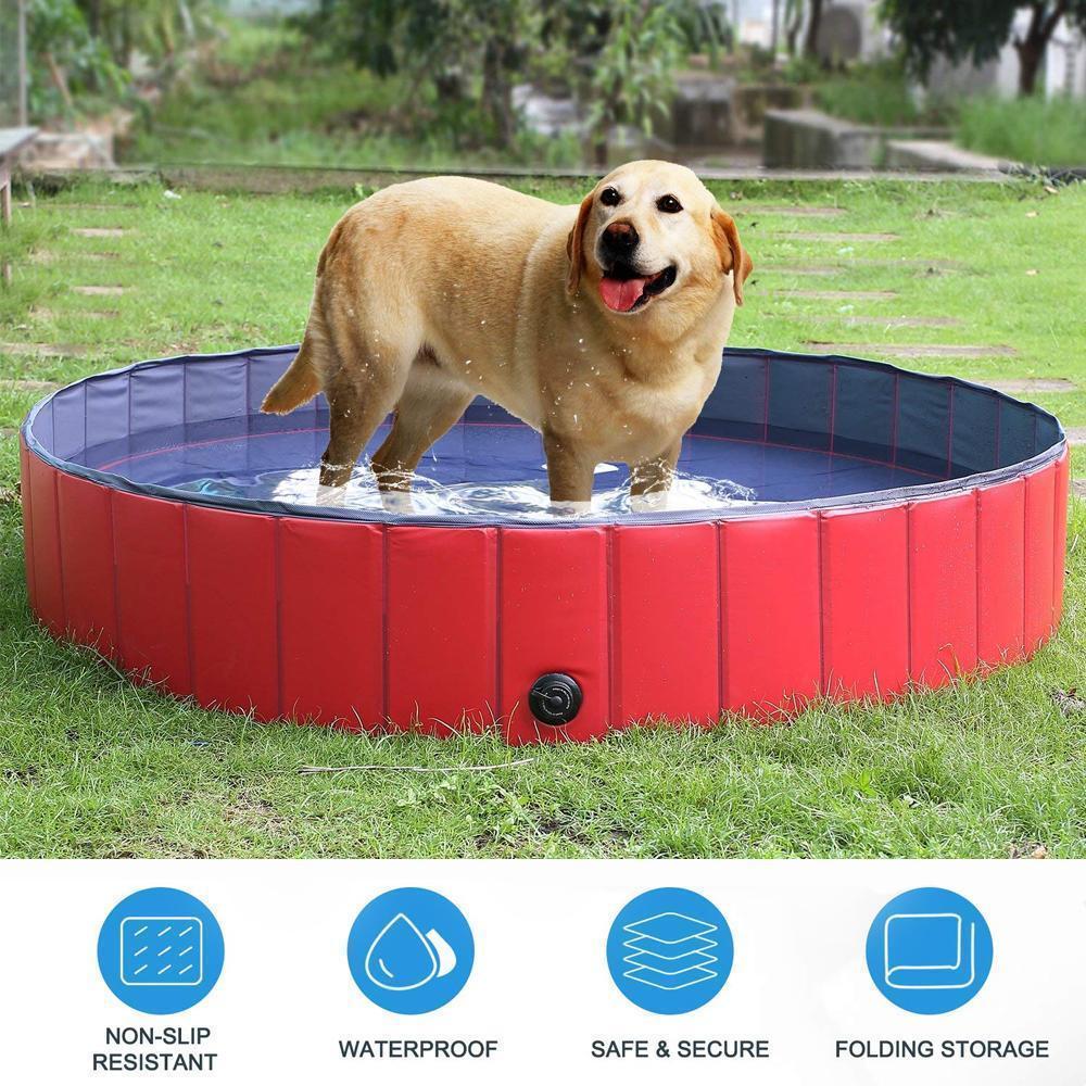 Portable Paw Pool