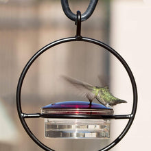 Load image into Gallery viewer, Hummble Slim Hummingbird Feeder