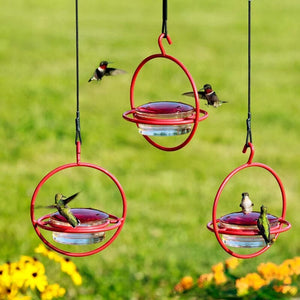 Hummble Slim Hummingbird Feeder