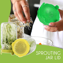 Load image into Gallery viewer, Microgreens Sprouting Jar Lid