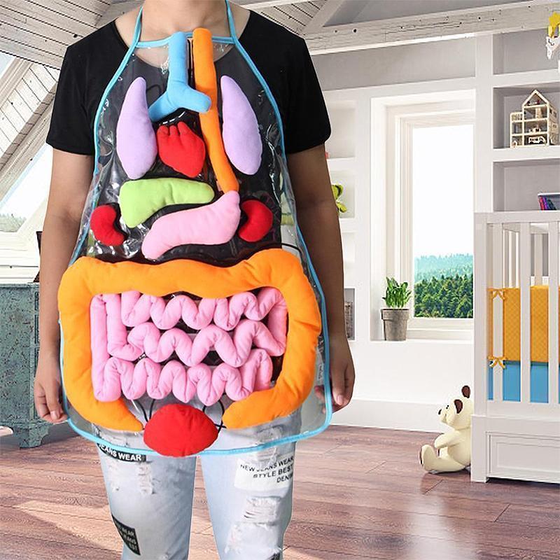 New Body Anatomy Apron