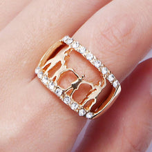 Load image into Gallery viewer, Fashion Accessories - Family Ring