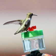 Load image into Gallery viewer, Original Hummingbird Wrist Feeder