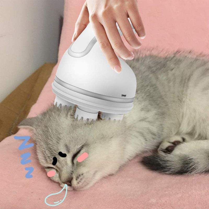 Multi-functional Pet Massager