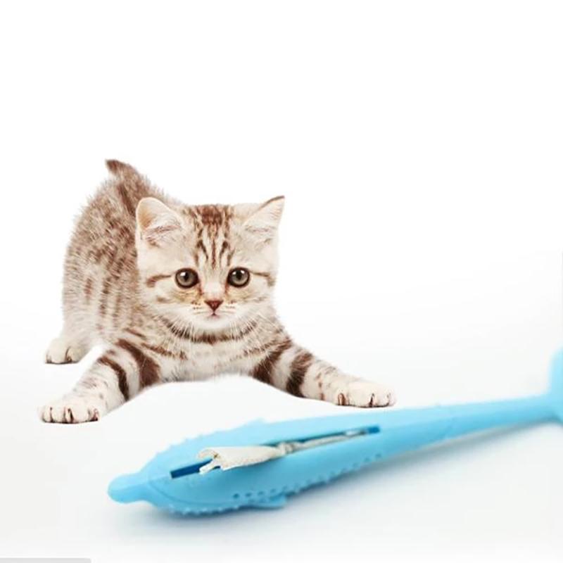 Interactive Cat Dental Toy