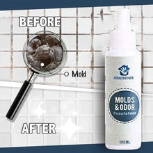 Load image into Gallery viewer, Mold Remover Spray