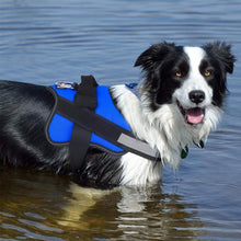 Load image into Gallery viewer, Dog Vest Harness