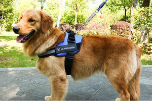 Reflective all-in-one No Pull Dog Harness