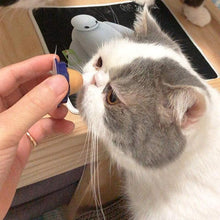 Load image into Gallery viewer, Cat Snack Nutrition Candy Ball