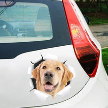 Load image into Gallery viewer, 3D Simulation Cute Creative Car Stickers