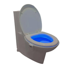 Load image into Gallery viewer, Hirundo 16-Color Motion Sensor LED Toilet Night Light