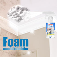 Load image into Gallery viewer, Mould &amp; Mildew Remover Cleaning Spray