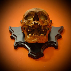 Shiny Skull Wall Décor