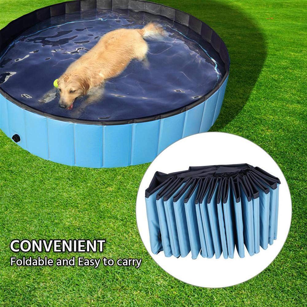 Portable Paw Pool