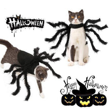 Load image into Gallery viewer, Spider Costume for Pets