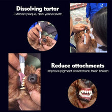 Load image into Gallery viewer, Pet Teeth Cleaning Pen