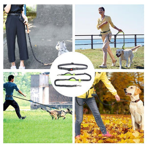 Handsfree Elastic Bungee Dog Leash