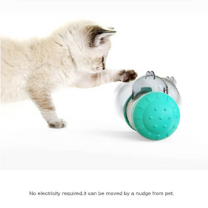 Pet Tumbler Leakage Interactive Toy