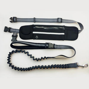 Buddy Bungee Dog Leash