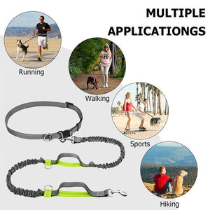 Handsfree Elastic Bungee Dog Leash