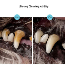 Load image into Gallery viewer, Pet Teeth Cleaning Pen