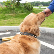 Load image into Gallery viewer, Bite-Proof Pet Collar