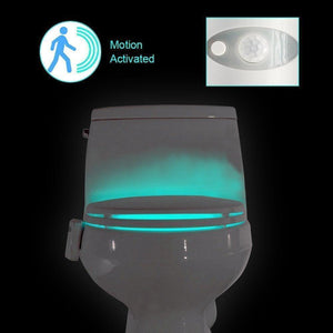 Hirundo 16-Color Motion Sensor LED Toilet Night Light