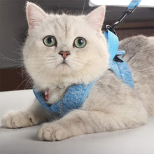 Load image into Gallery viewer, Cat Vest Harness and Leash