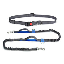 Load image into Gallery viewer, Handsfree Elastic Bungee Dog Leash