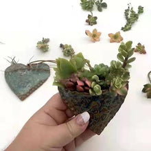 Load image into Gallery viewer, Planting Succulent Heart Pocket Planter