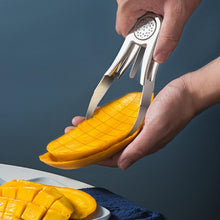 Load image into Gallery viewer, Stainless Steel Mango Peeling Separator